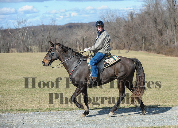 Chesapeake(4-4-15)0491