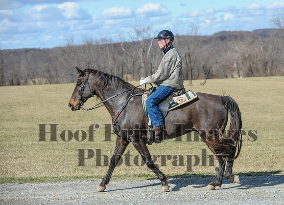 Chesapeake(4-4-15)0492
