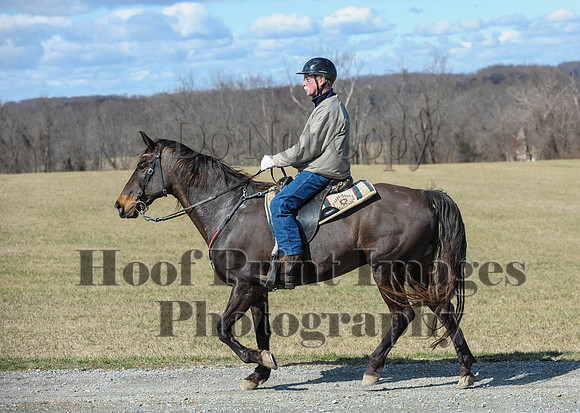 Chesapeake(4-4-15)0493