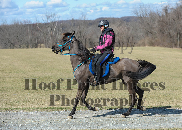Chesapeake(4-4-15)0494