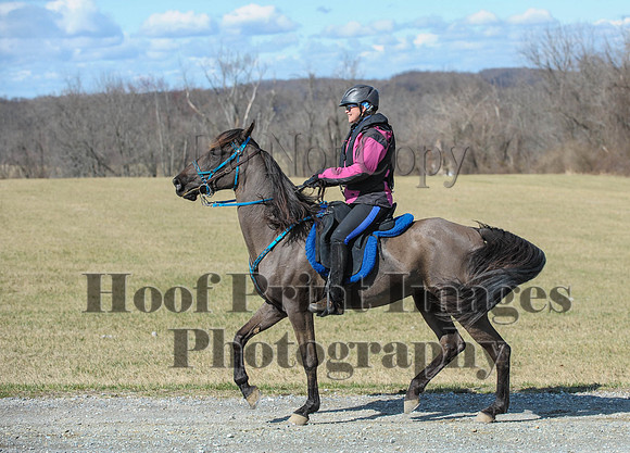 Chesapeake(4-4-15)0495