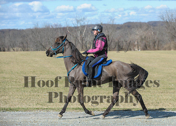 Chesapeake(4-4-15)0496