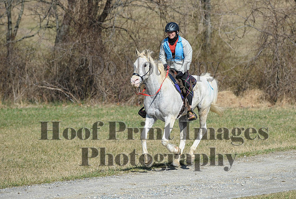 Chesapeake(4-4-15)0500