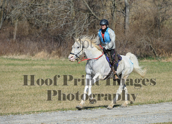 Chesapeake(4-4-15)0503