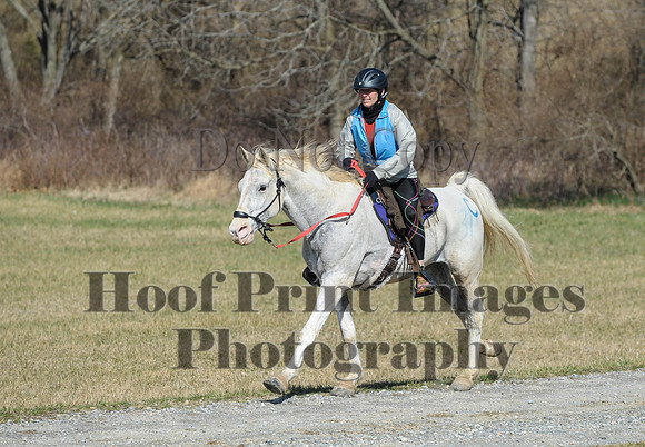 Chesapeake(4-4-15)0504