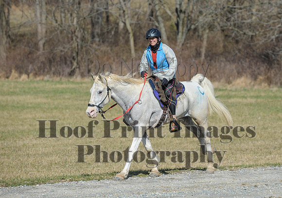 Chesapeake(4-4-15)0505