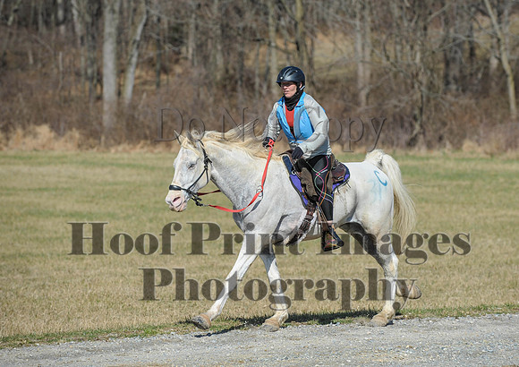 Chesapeake(4-4-15)0509