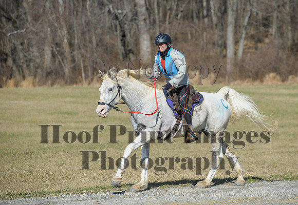 Chesapeake(4-4-15)0510