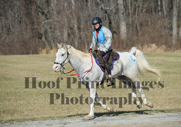 Chesapeake(4-4-15)0511