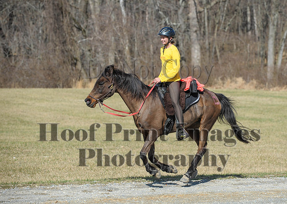 Chesapeake(4-4-15)0512