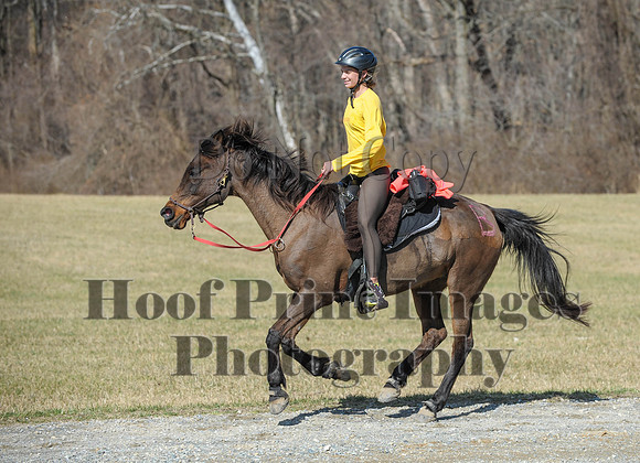 Chesapeake(4-4-15)0513
