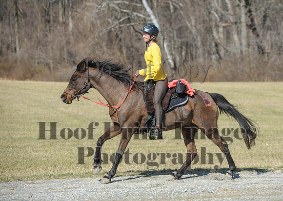 Chesapeake(4-4-15)0514