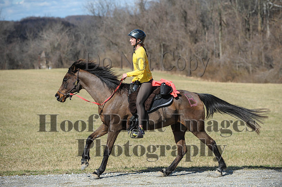 Chesapeake(4-4-15)0515