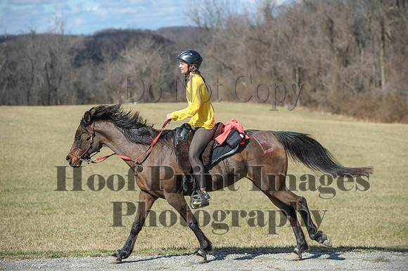Chesapeake(4-4-15)0516