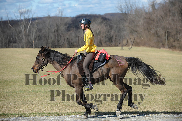 Chesapeake(4-4-15)0517