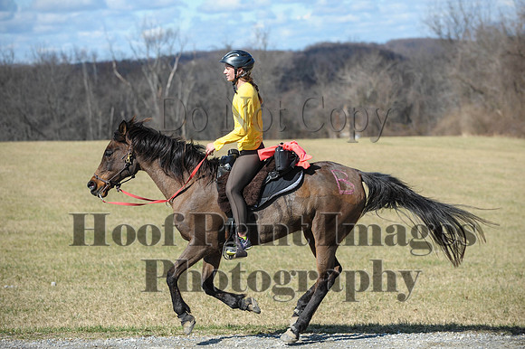 Chesapeake(4-4-15)0518
