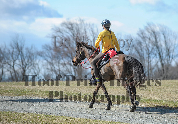 Chesapeake(4-4-15)0519