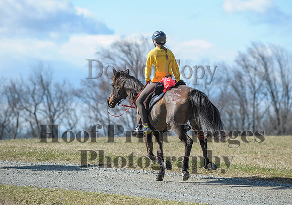 Chesapeake(4-4-15)0520