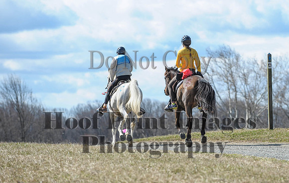 Chesapeake(4-4-15)0523