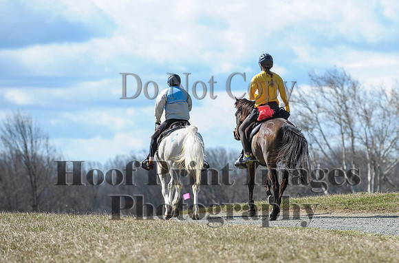 Chesapeake(4-4-15)0524