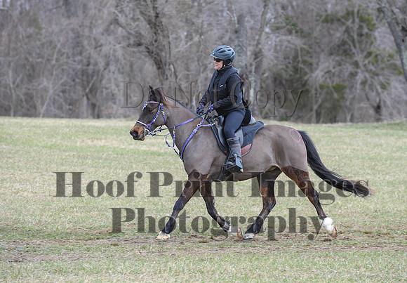 Chesapeake(4-4-15)0525