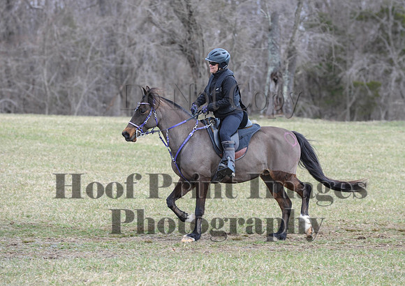 Chesapeake(4-4-15)0526