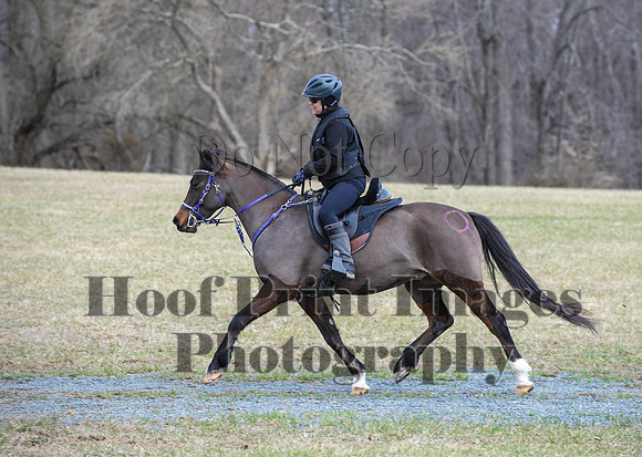 Chesapeake(4-4-15)0527
