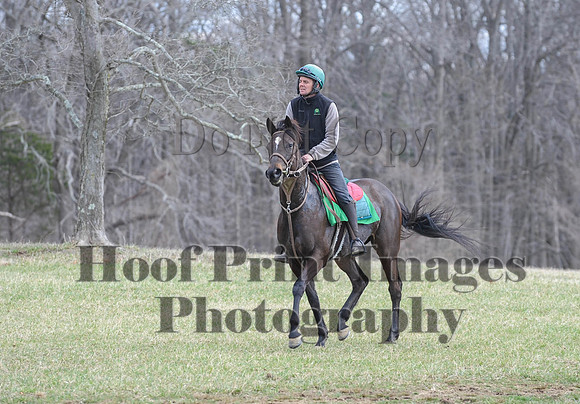 Chesapeake(4-4-15)0529