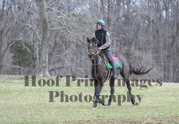 Chesapeake(4-4-15)0530