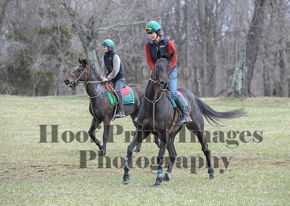 Chesapeake(4-4-15)0531