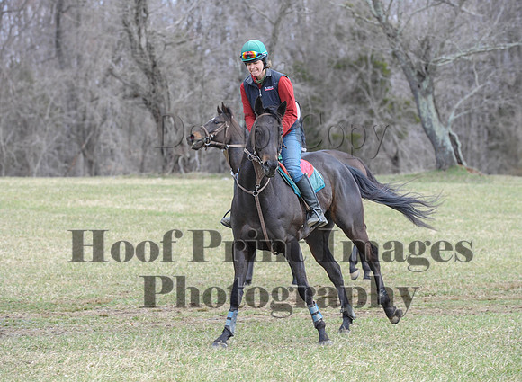 Chesapeake(4-4-15)0533