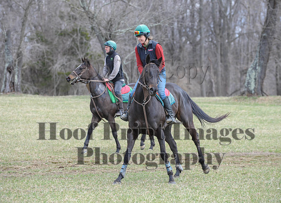 Chesapeake(4-4-15)0532