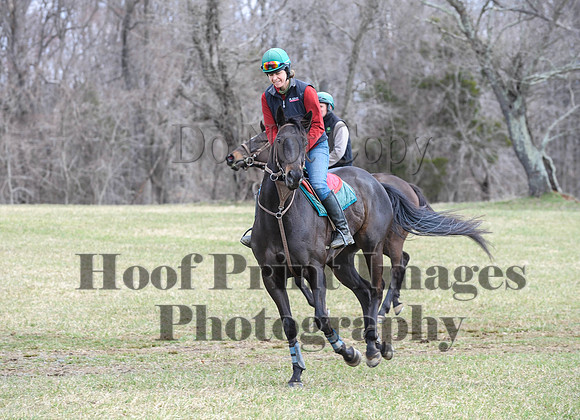 Chesapeake(4-4-15)0534