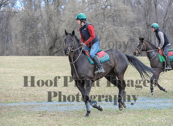 Chesapeake(4-4-15)0535