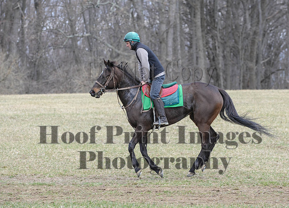 Chesapeake(4-4-15)0537