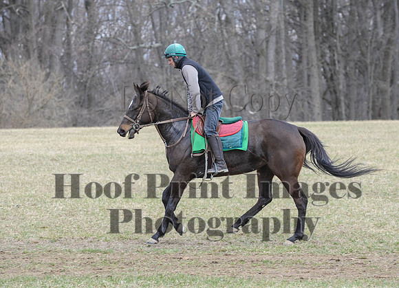 Chesapeake(4-4-15)0538