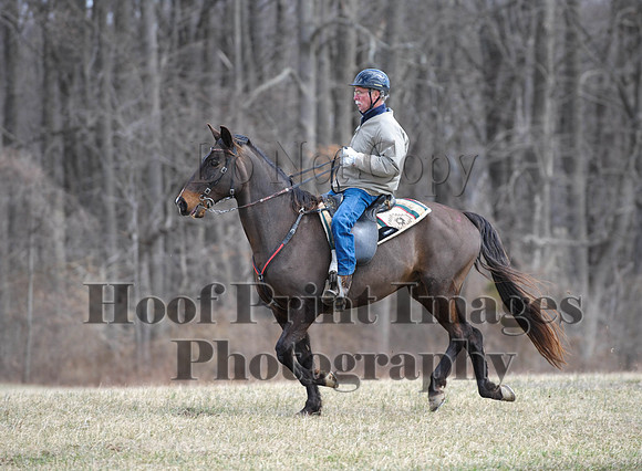Chesapeake(4-4-15)0542