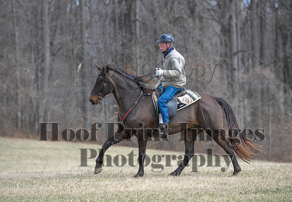 Chesapeake(4-4-15)0543