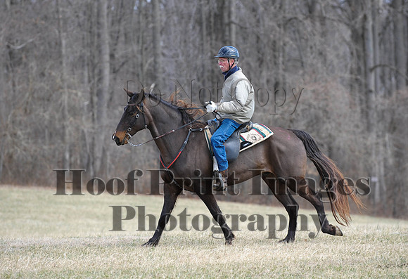 Chesapeake(4-4-15)0544