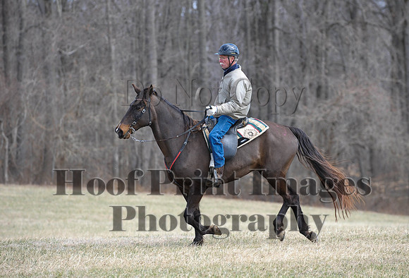 Chesapeake(4-4-15)0545
