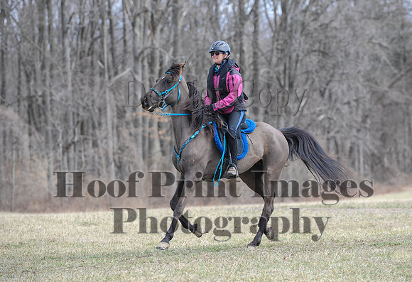 Chesapeake(4-4-15)0546