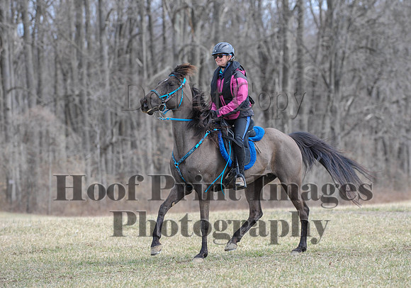 Chesapeake(4-4-15)0547