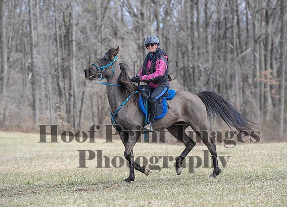 Chesapeake(4-4-15)0548