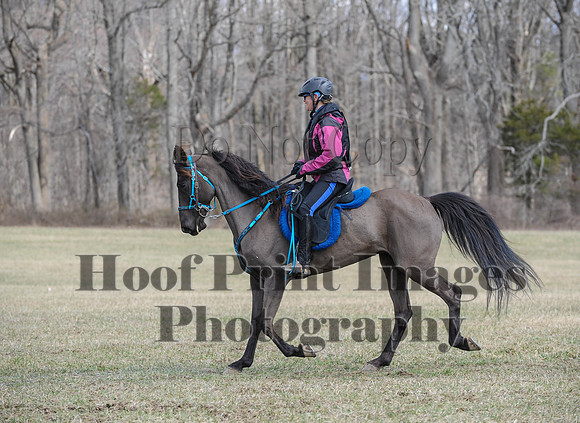 Chesapeake(4-4-15)0550