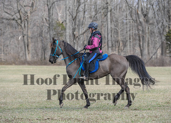 Chesapeake(4-4-15)0551