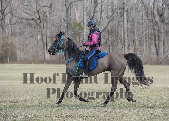 Chesapeake(4-4-15)0552