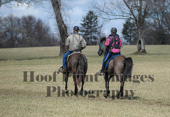 Chesapeake(4-4-15)0553