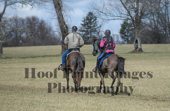 Chesapeake(4-4-15)0554