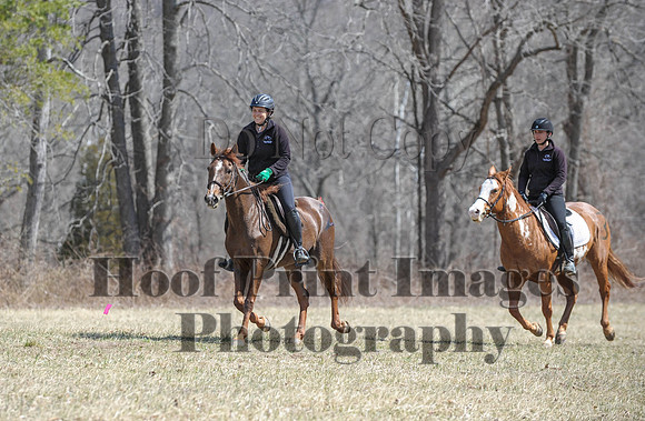 Chesapeake(4-4-15)0557