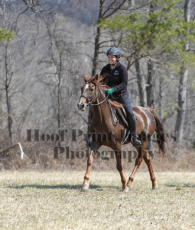 Chesapeake(4-4-15)0559